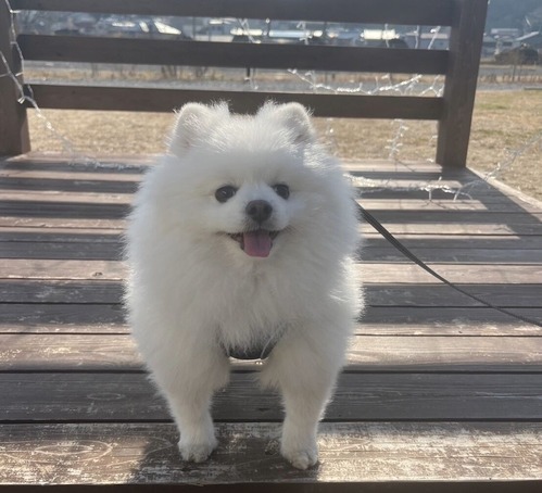 °¦¸¤¤â°ì½ï¤Ç¤¹¡£