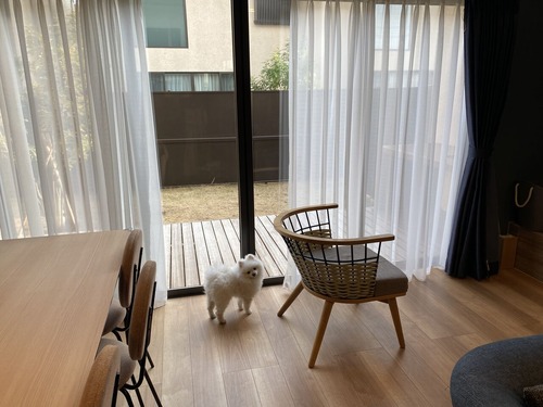 ¥ê¥Ó¥ó¥°£²