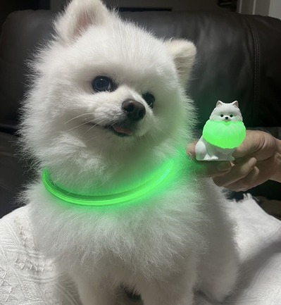 ������ޤ���