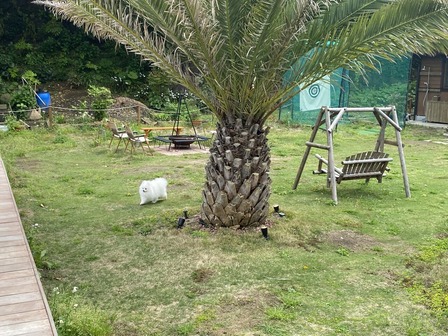 ¥¬¡¼¥Ç¥ó£±