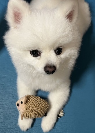 �����ΰ����Ǥ�