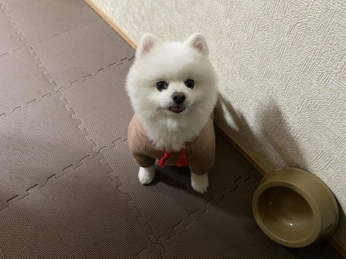 �����Υ��ꥹ�ޥ��С������