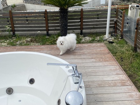 ¥¸¥ã¥°¥¸¡¼