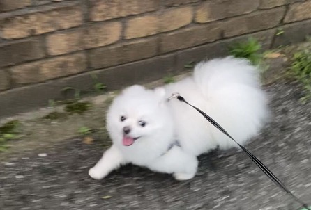 ����γڤ��ߣ�