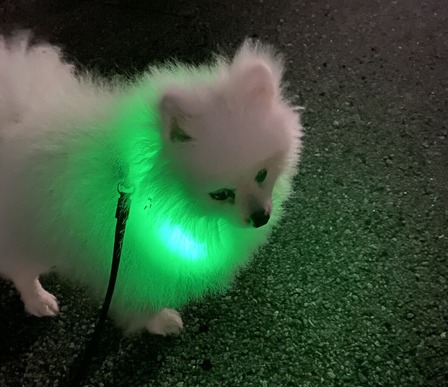 ���ⷸ�ˤʤ�ޤ���