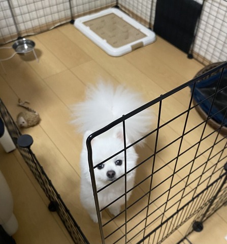 �����Τ�����