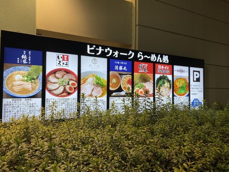 �ӥʥ�������