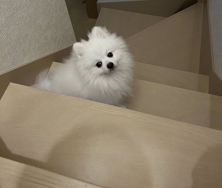 ���������ʤ���ߤ��ʤ��ʤäƤ����