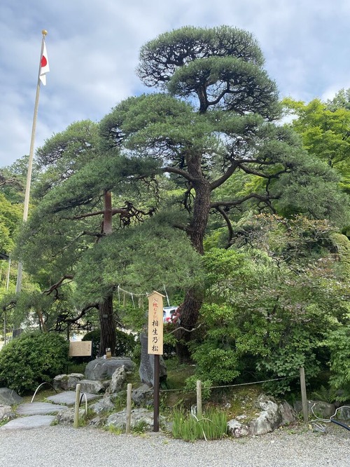 ÊõÅл³¿À¼Ò12