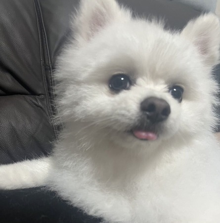 ����Υ����ס��θ�ΰ���