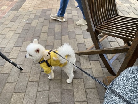 ����⤷�ޤ���