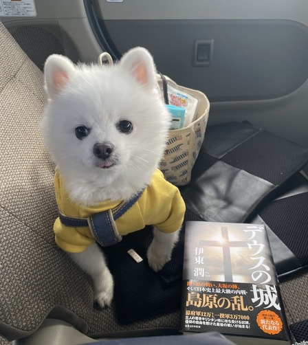 �������ԤäƤޤ�