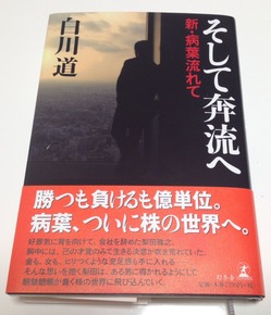 ��������ή��