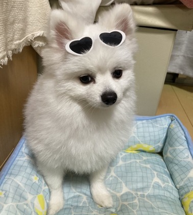 �Ӥ����Ӥޤ���