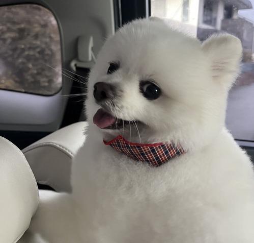 ���åȤ��Ƥ��ޤ�����