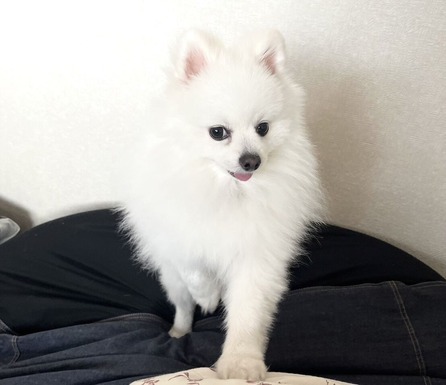 2�Ф��������Ǥ�