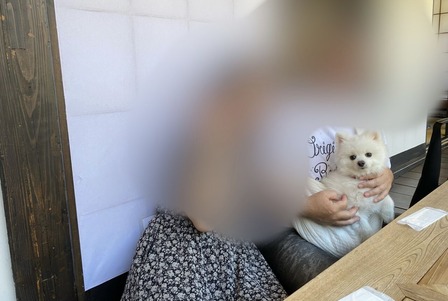 ��¦�ʤ�ڥå�OK