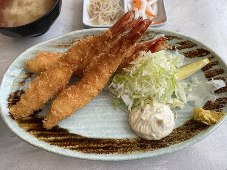 �票�ӥե饤�꿩