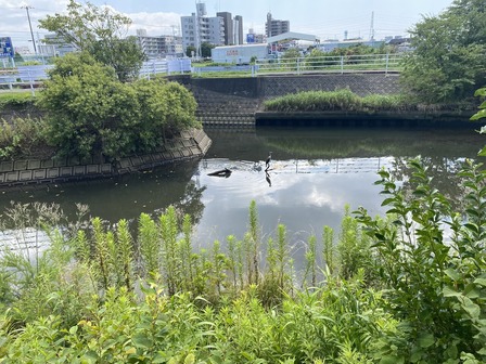 �Ծ�˹ԤäƤ��ޤ�����