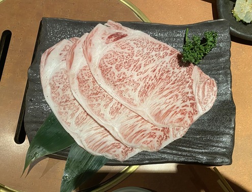 ����������Ƥ������