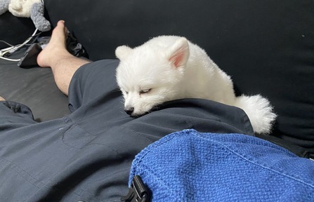 ゴロゴロしてます