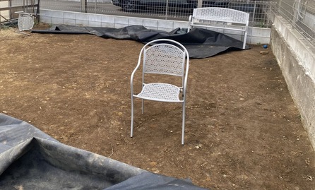 É÷¤Ä¤è¤Î¸å