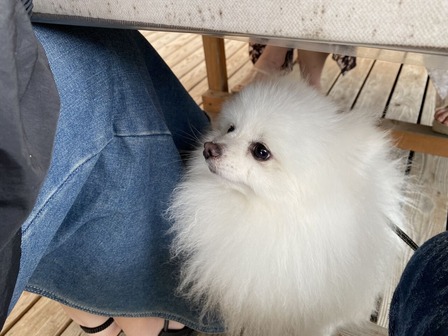 �������Ԥģ�