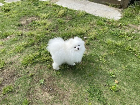 ¥¬¡¼¥Ç¥ó£²