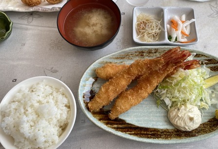 �票�ӥե饤�꿩