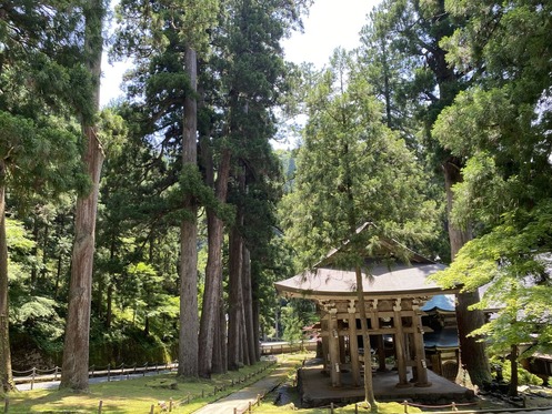 ±ÊÊ¿»û£±£¸