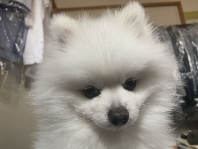 ī�������Ƥ���ޤ�