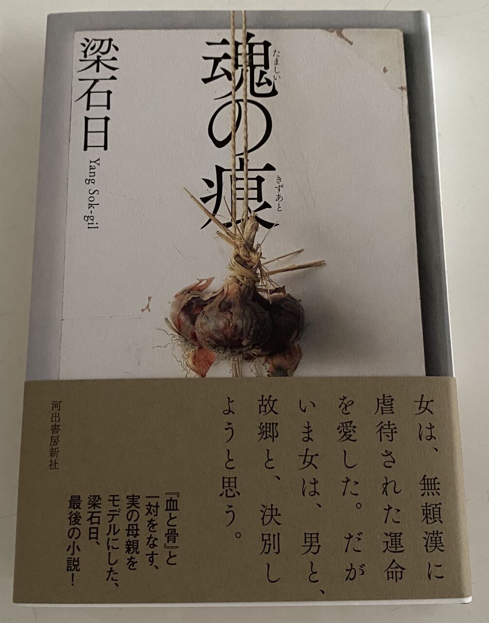 魂の痕 きずあと ヤンソギル 蕎麦とラーメン食べ歩き と読書のブログ 魂の痕 きずあと ヤンソギル 蕎麦とラーメン食べ歩き と読書のブログ