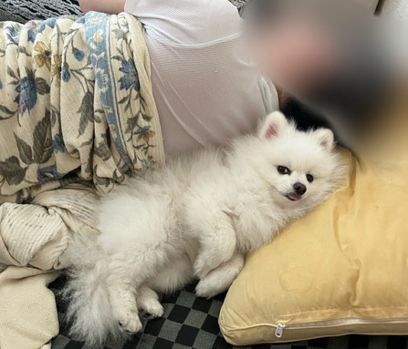 °¦¸¤¤Ï½ã¿è¤Ê¤ó¤ä