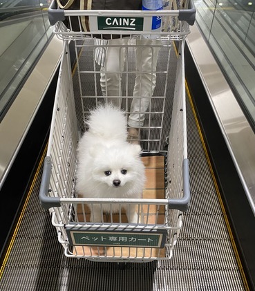 �����󥺥ۡ���