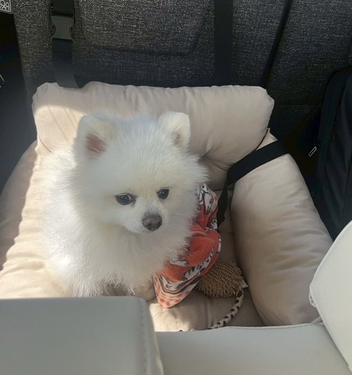 °¦¸¤¤È¥¯¥ë¥Þ