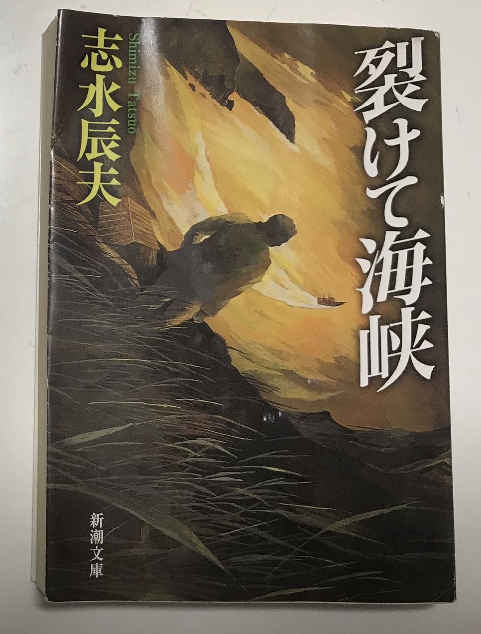 裂けて海峡 清水辰夫 蕎麦とラーメン食べ歩き と読書のブログ 裂けて海峡 清水辰夫 蕎麦とラーメン食べ歩き と読書のブログ
