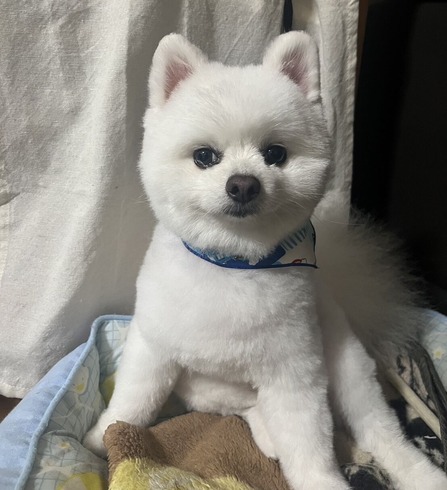 ���ޡ����å�