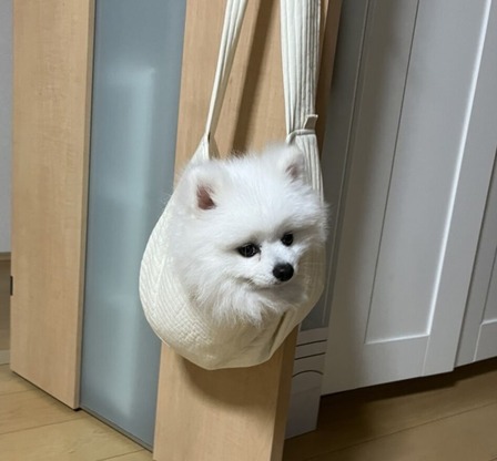 �ɥå������