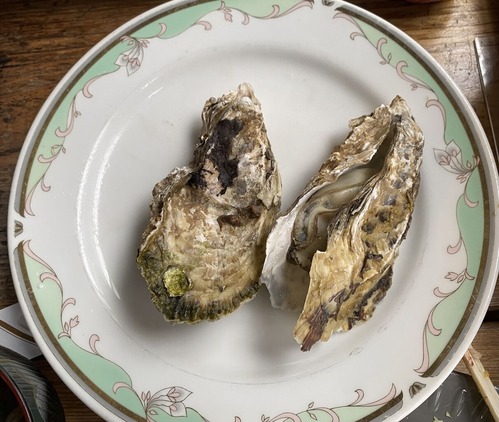 �Ƥ�����