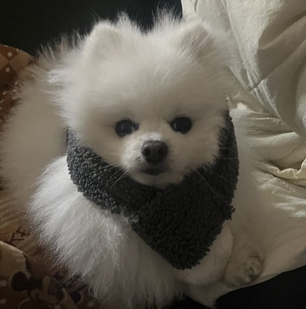 �ߤΥ������