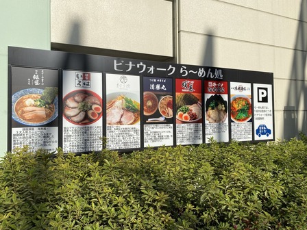 �ӥʥ�������