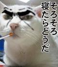 ËÜ̾¤Ï¥Ç¥å¡¼¥¯Åì¶¿¤À¤¼