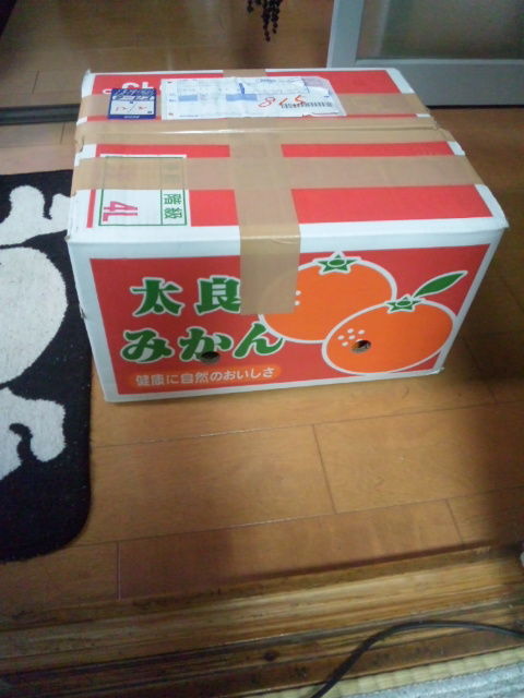 残念で最悪な宅急便 見た時間だけ人生を無駄に費やすblog