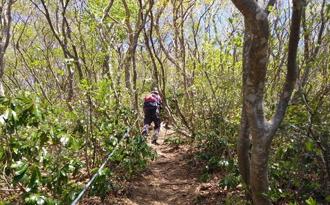 IMG01478_HDR