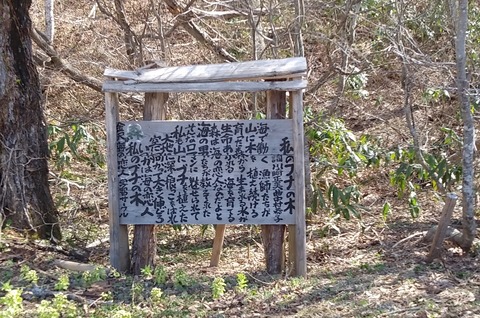 大嵐山と水芭蕉