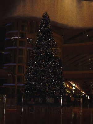 tree