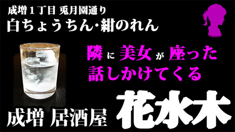  隣に美女が座った 話しかけてくる　成増 居酒屋 花水木 酒場 昼飲み 