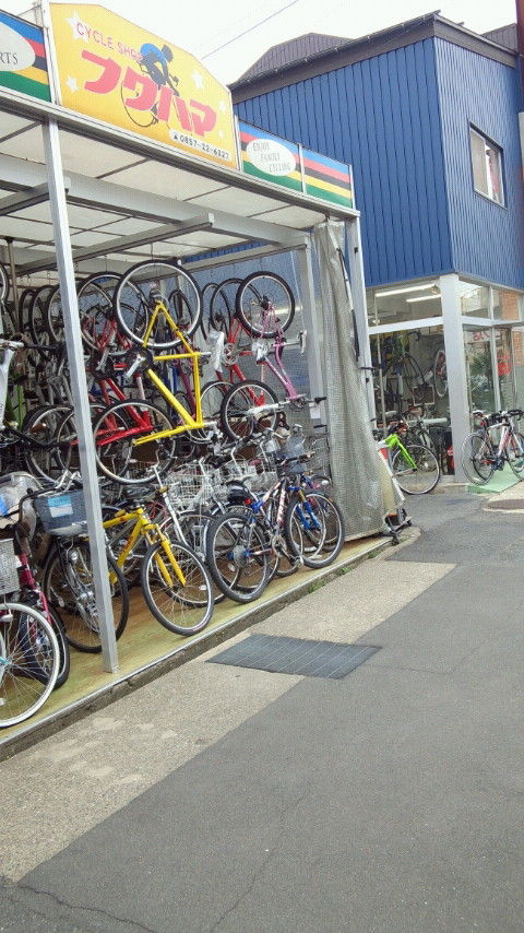 my bicycle shop