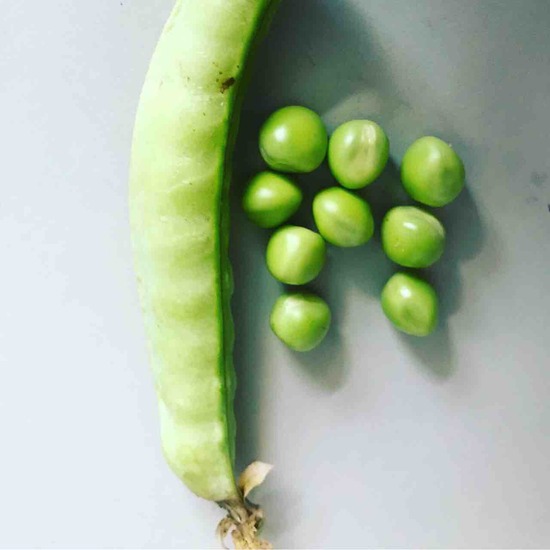 かなこのyogaくらす 今話題のお米新之助で豆ごはん