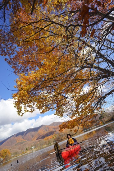 LINE_ALBUM_2021芋煮会_211106_104